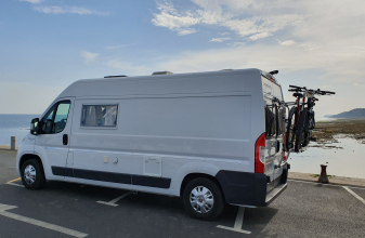 FIAT CAMPEREVE MAGELLAN image