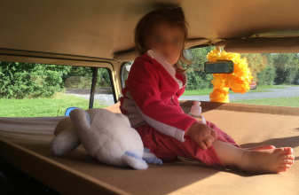 Volkswagen WESTFALIA T2b image