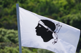 Volkswagen WESTFALIA T3 image