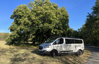 FORD WESTFALIA BIG NUGGET XL image