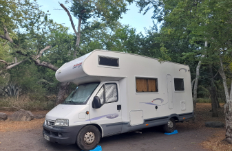 Fiat CHALLENGER 141 image