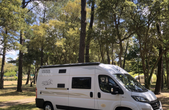 Fiat MC LOUIS MENFYS Yearling 3 image