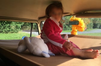 Volkswagen WESTFALIA T2b image