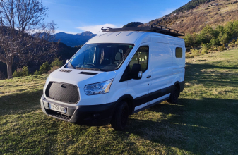 FORD BENIMAR MILEO image