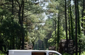 Renault TRAFIC III image