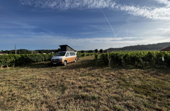 VOLKSWAGEN VOLKSWAGEN CALIFORNIA image