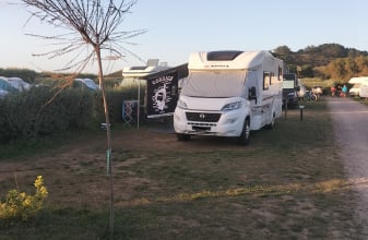 FIAT ADRIA MATRIX image