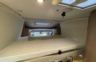 Fiat MC LOUIS Yearling image