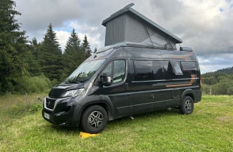 FIAT WEINSBERG CARABUS image