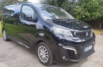 Peugeot AUTRE Traveller image